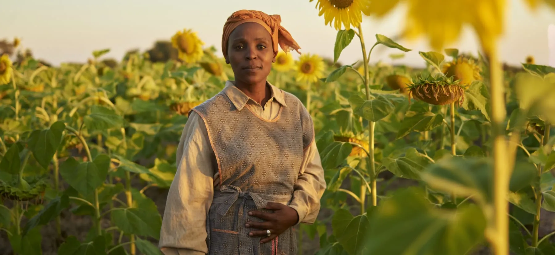 Corteva - Corteva campaign produced by Steel Productions in Limpopo and Mpumalanga, photographed by Joey Lawrence