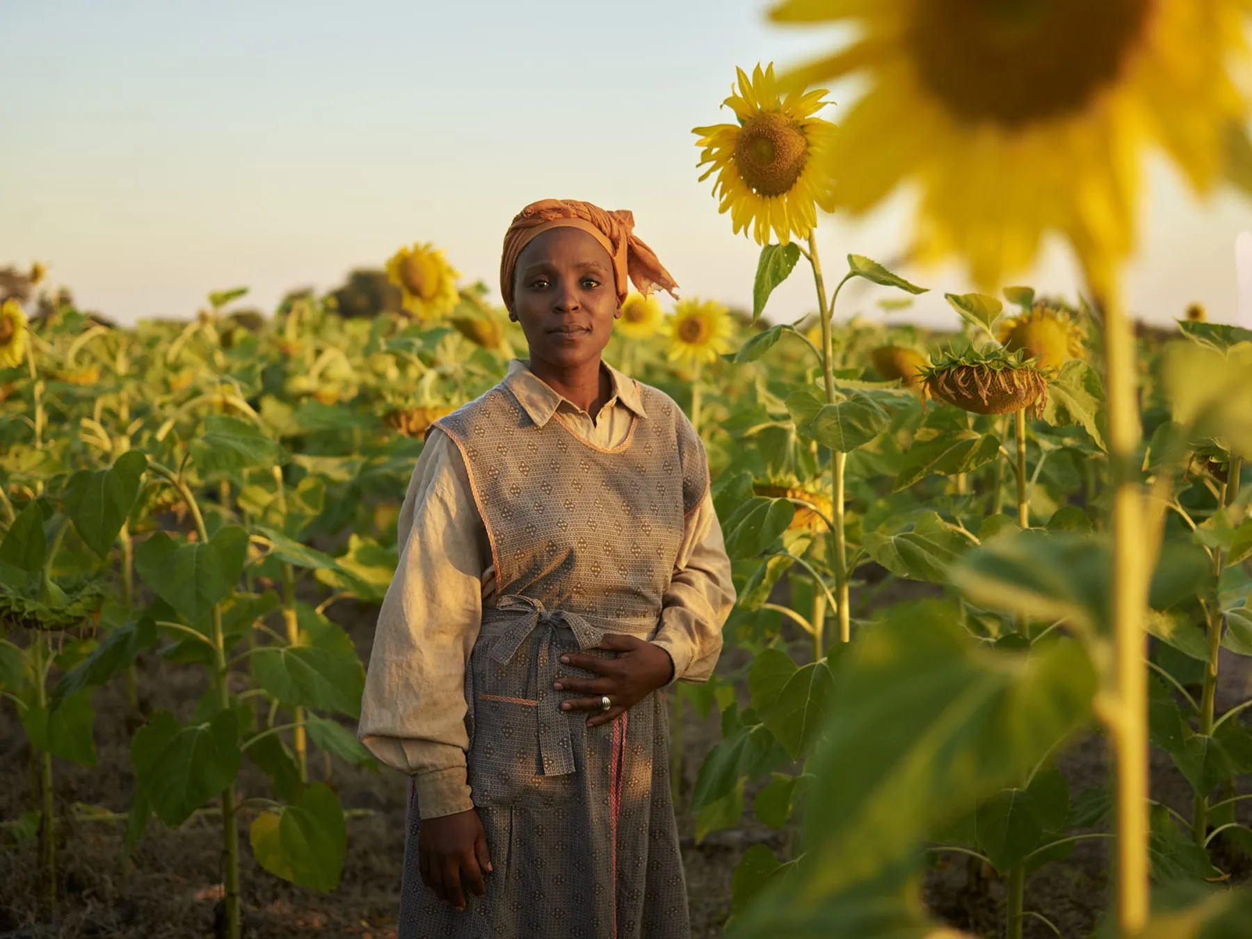Corteva - Corteva campaign produced by Steel Productions in Limpopo and Mpumalanga, photographed by Joey Lawrence