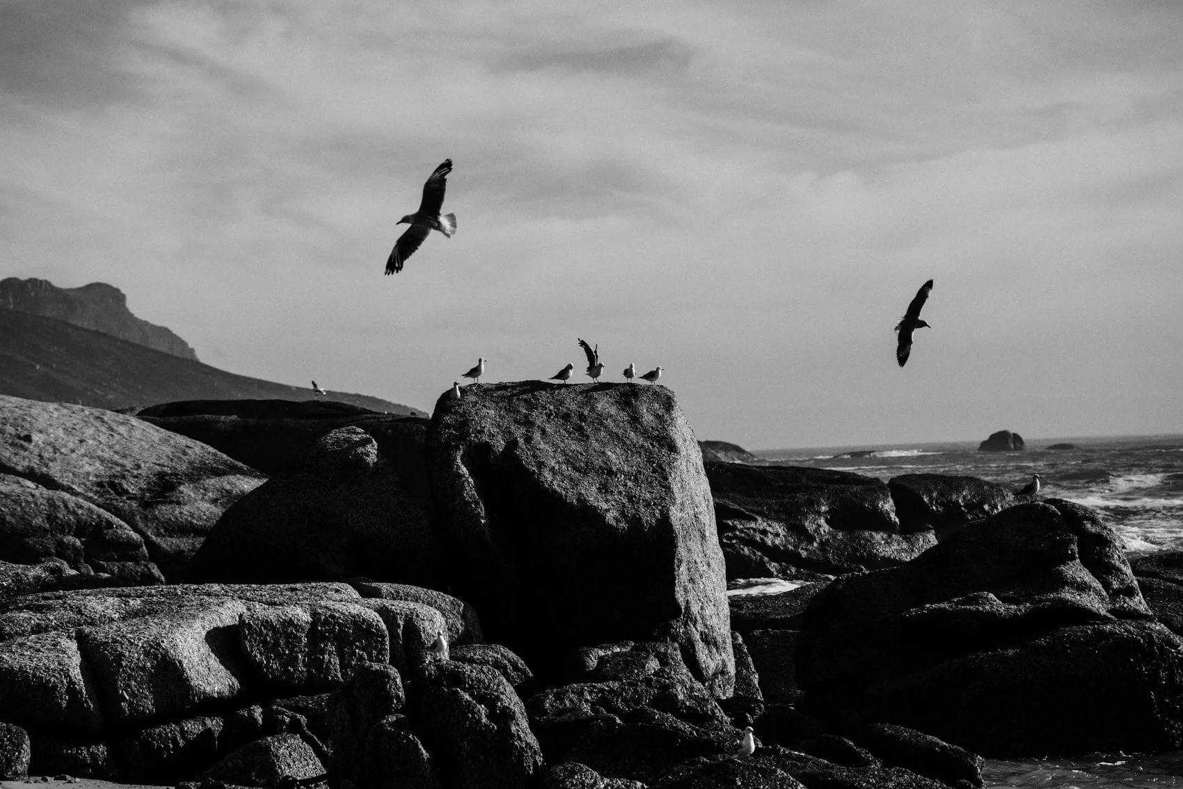 NN07 - NN07 campaign produced by Steel Productions in Cape Town, photographed by Tobias Regell