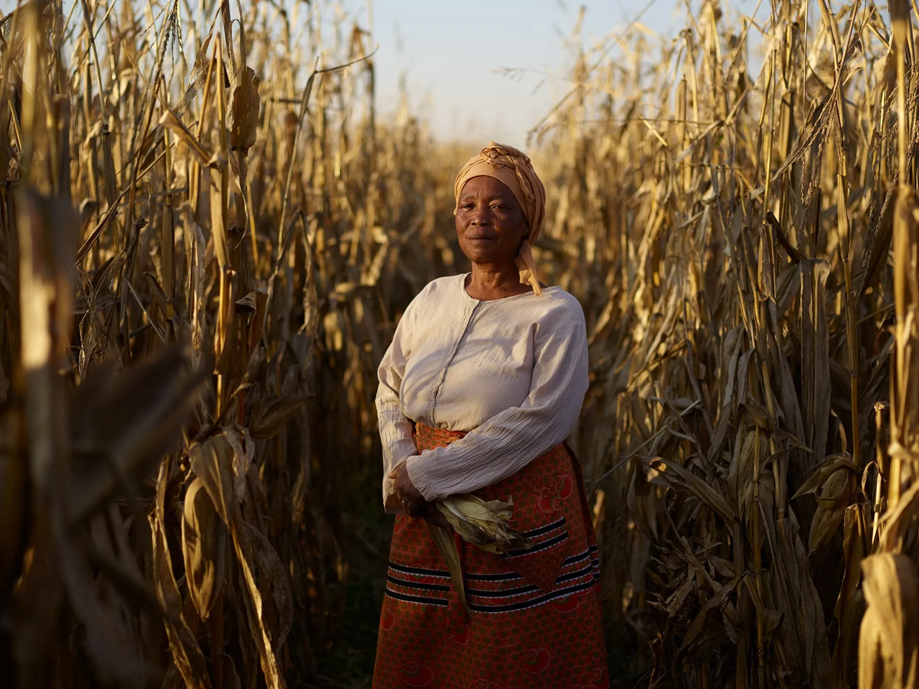 Corteva - Corteva campaign produced by Steel Productions in Limpopo and Mpumalanga, photographed by Joey Lawrence