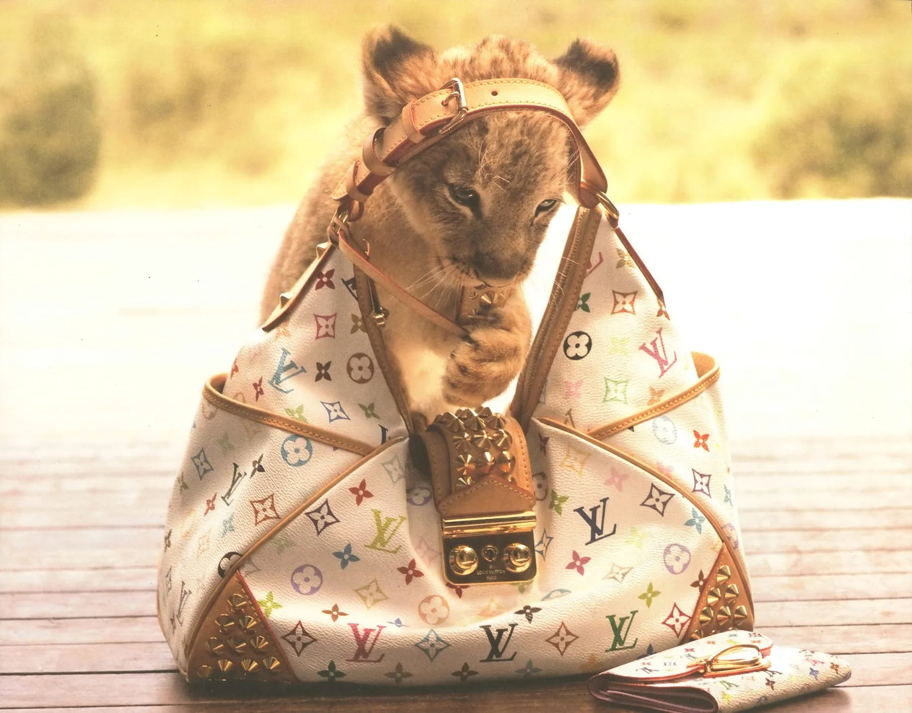 Louis Vuitton Travel - Louis Vuitton campaign produced by Steel Productions in North West Province, photographed by Carter Smith