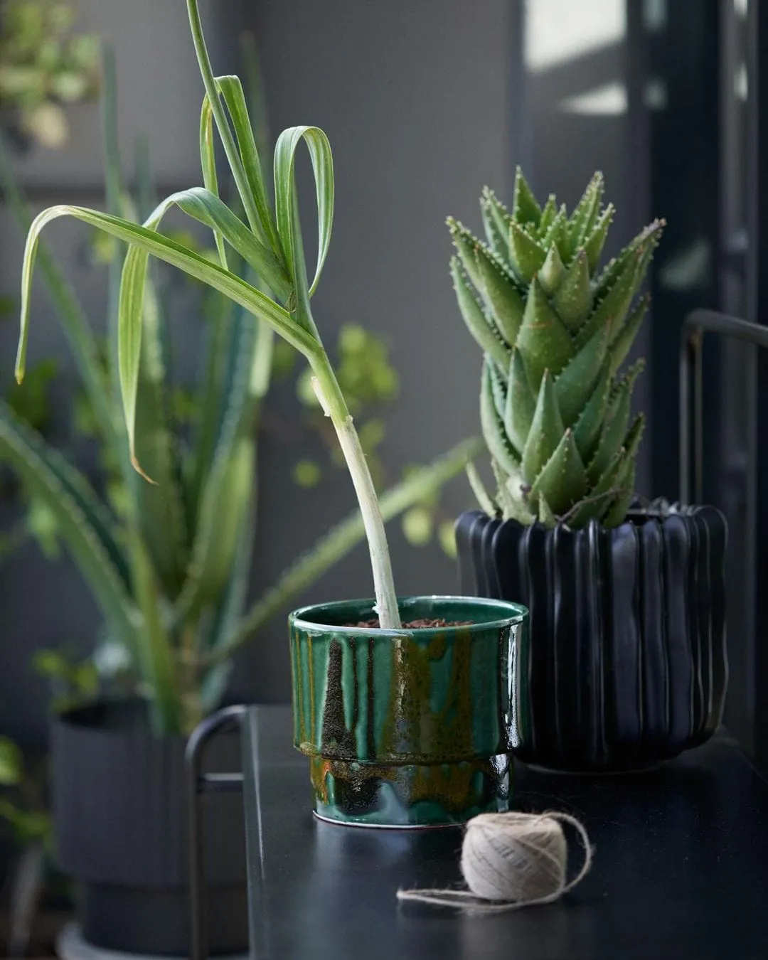 H&M Home Spring 2024 - H&M campaign produced by Steel Productions in Cape Town, photographed by Inge Prins