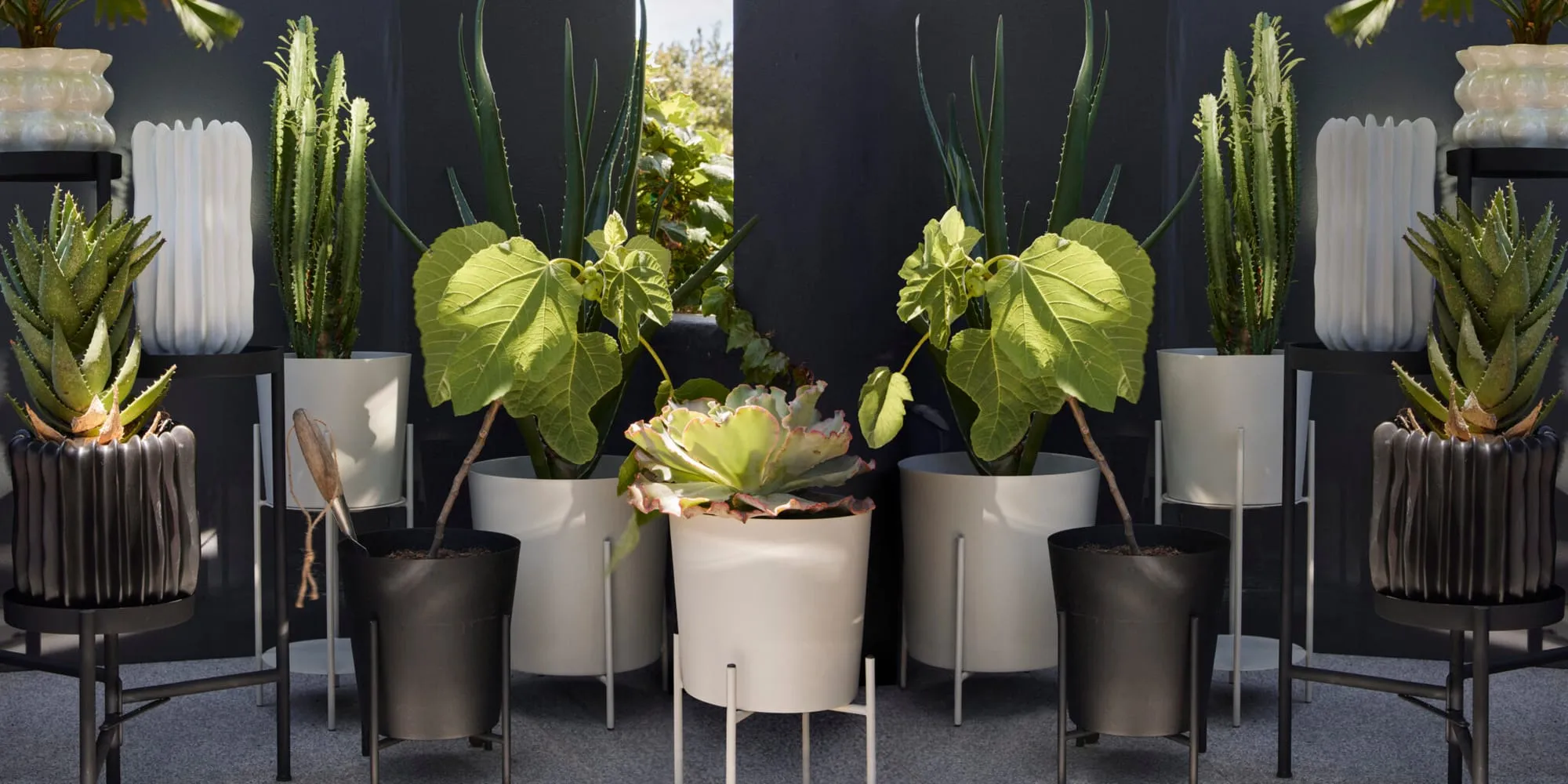 H&M Home Spring 2024 - H&M campaign produced by Steel Productions in Cape Town, photographed by Inge Prins