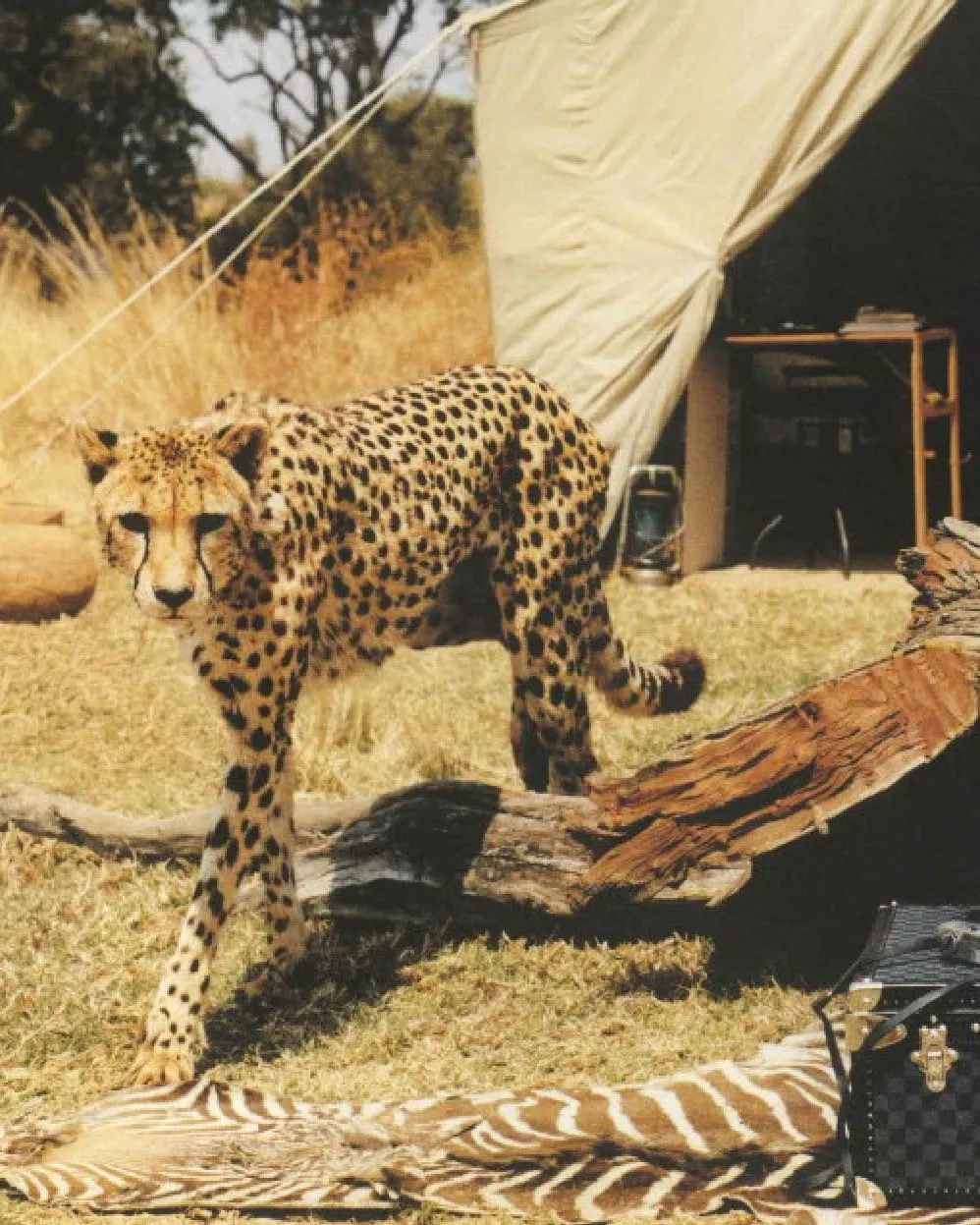 Louis Vuitton Homme - stills production by Steel, Cape Town