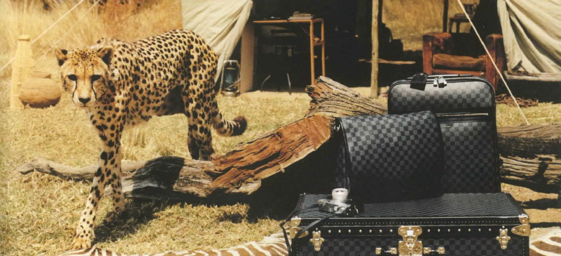 Louis Vuitton Homme - Louis Vuitton campaign on a savannah location, produced by Steel Productions